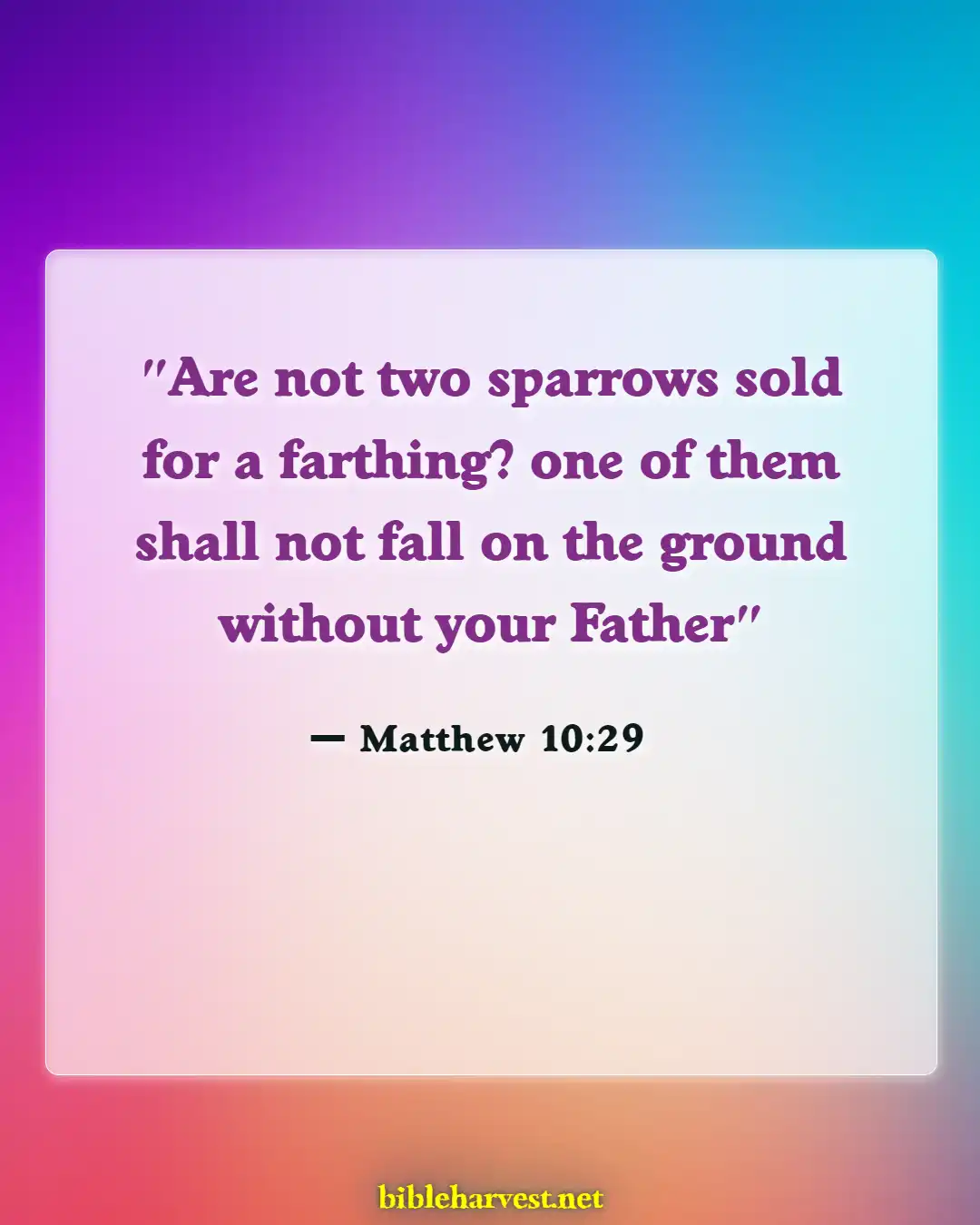 Bible Verses About God Being In Control (Matthew 10:29)