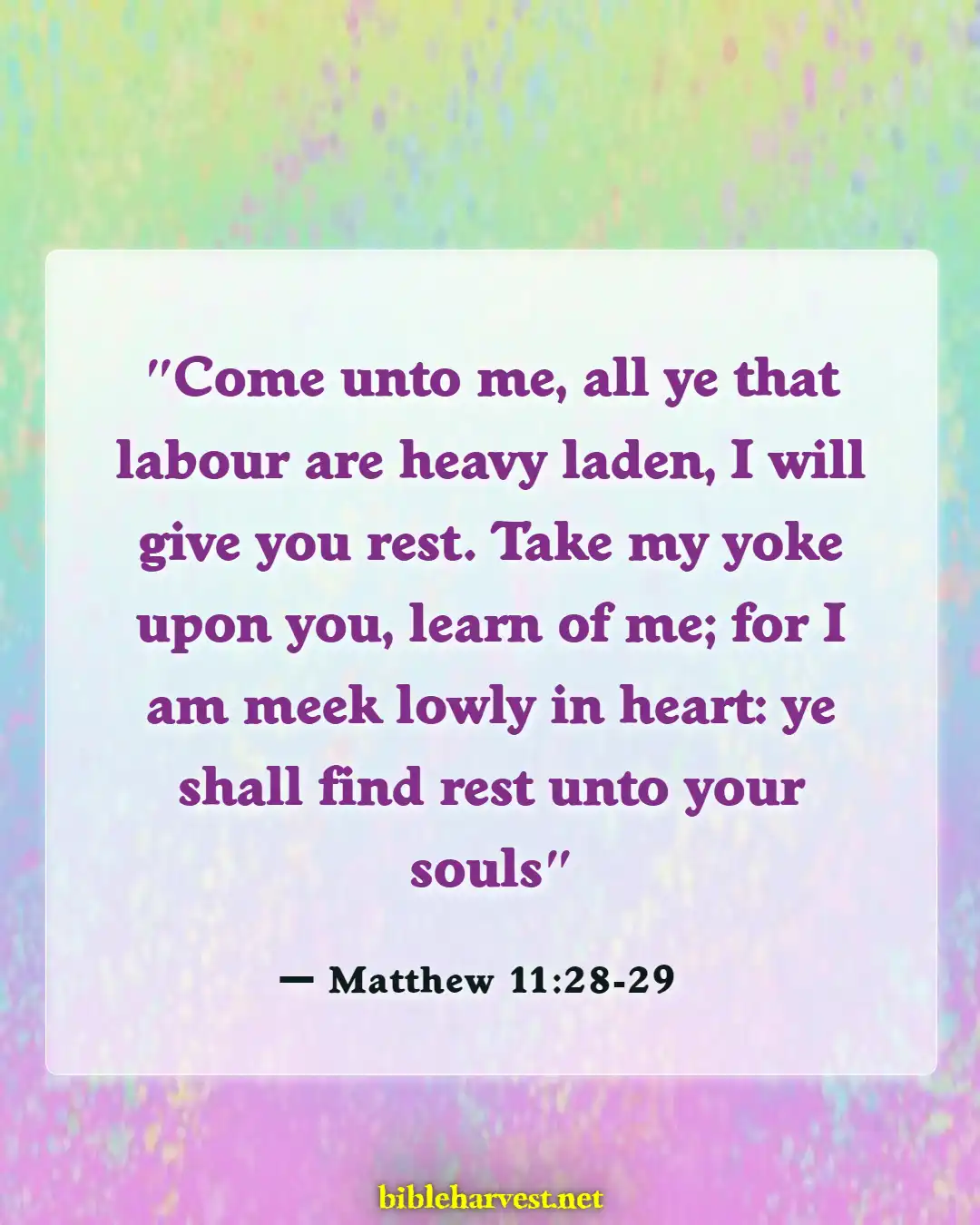 Bible Verses About Cheating Husband (Matthew 11:28-29)