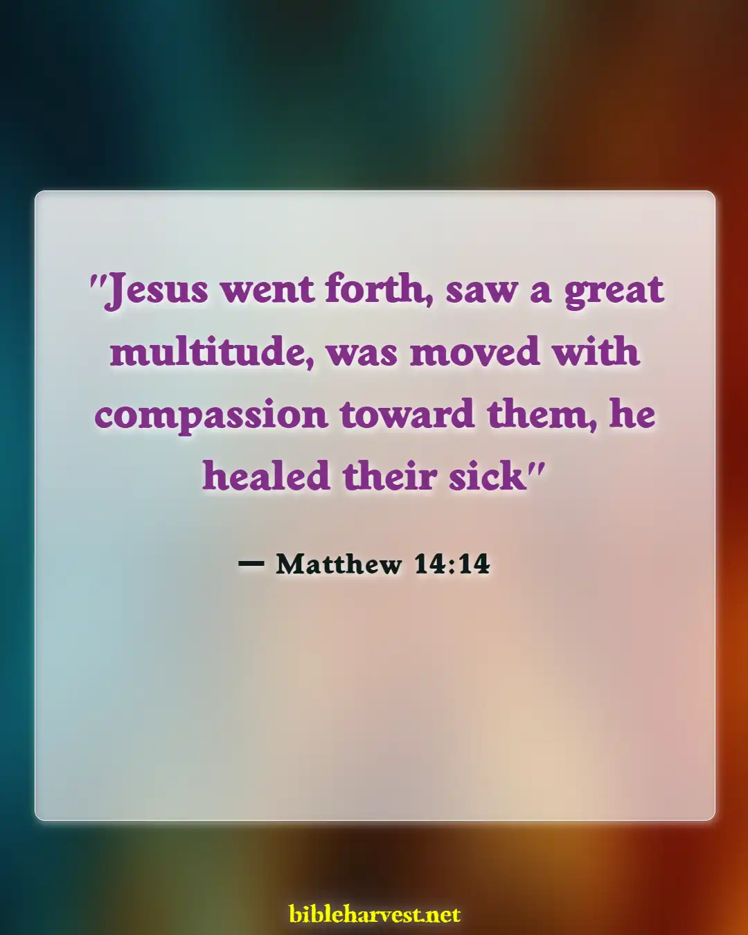 Bible Verses About Nurses (Matthew 14:14)