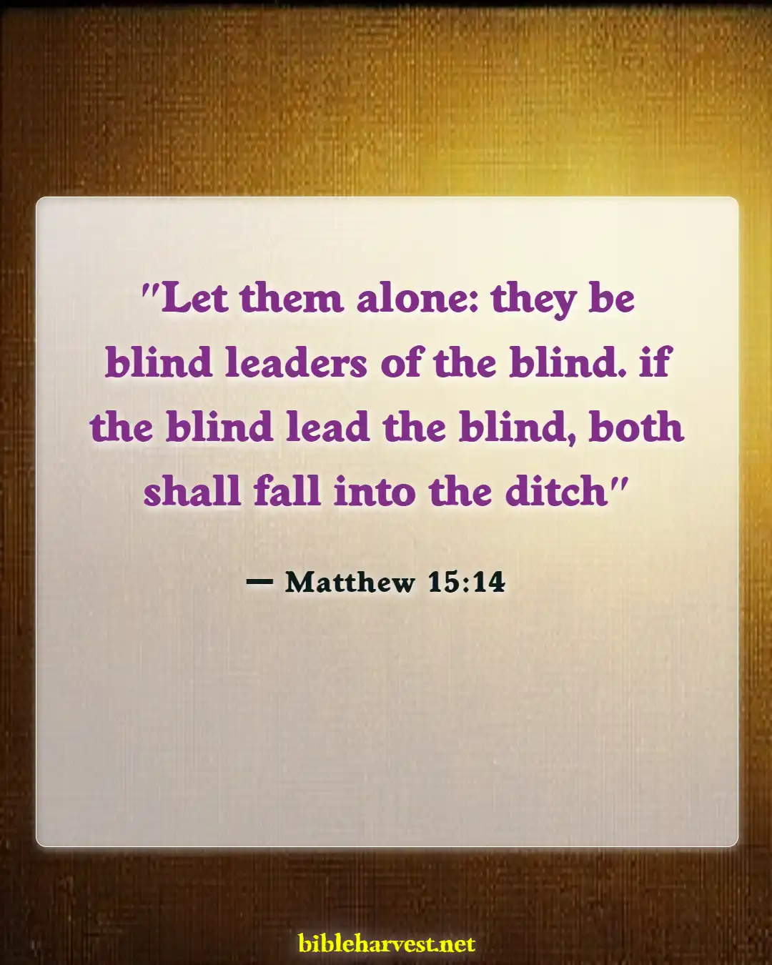 Bible Verses About Do Not Argue With A Fool (Matthew 15:14)