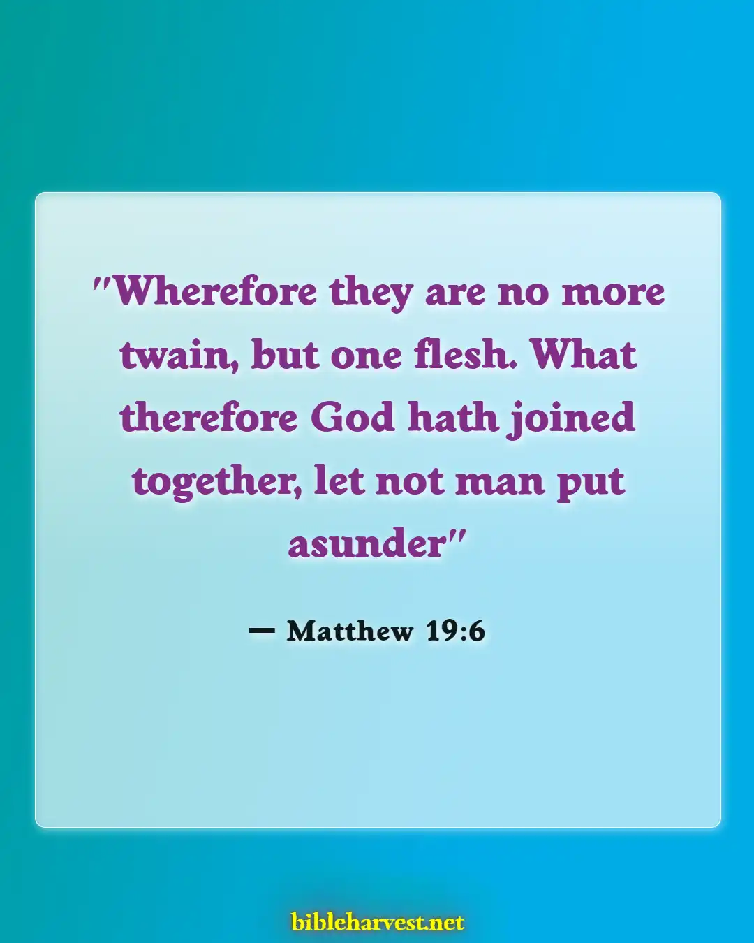 Bible Verses About A Wife That Disrespects Her Husband (Matthew 19:6)