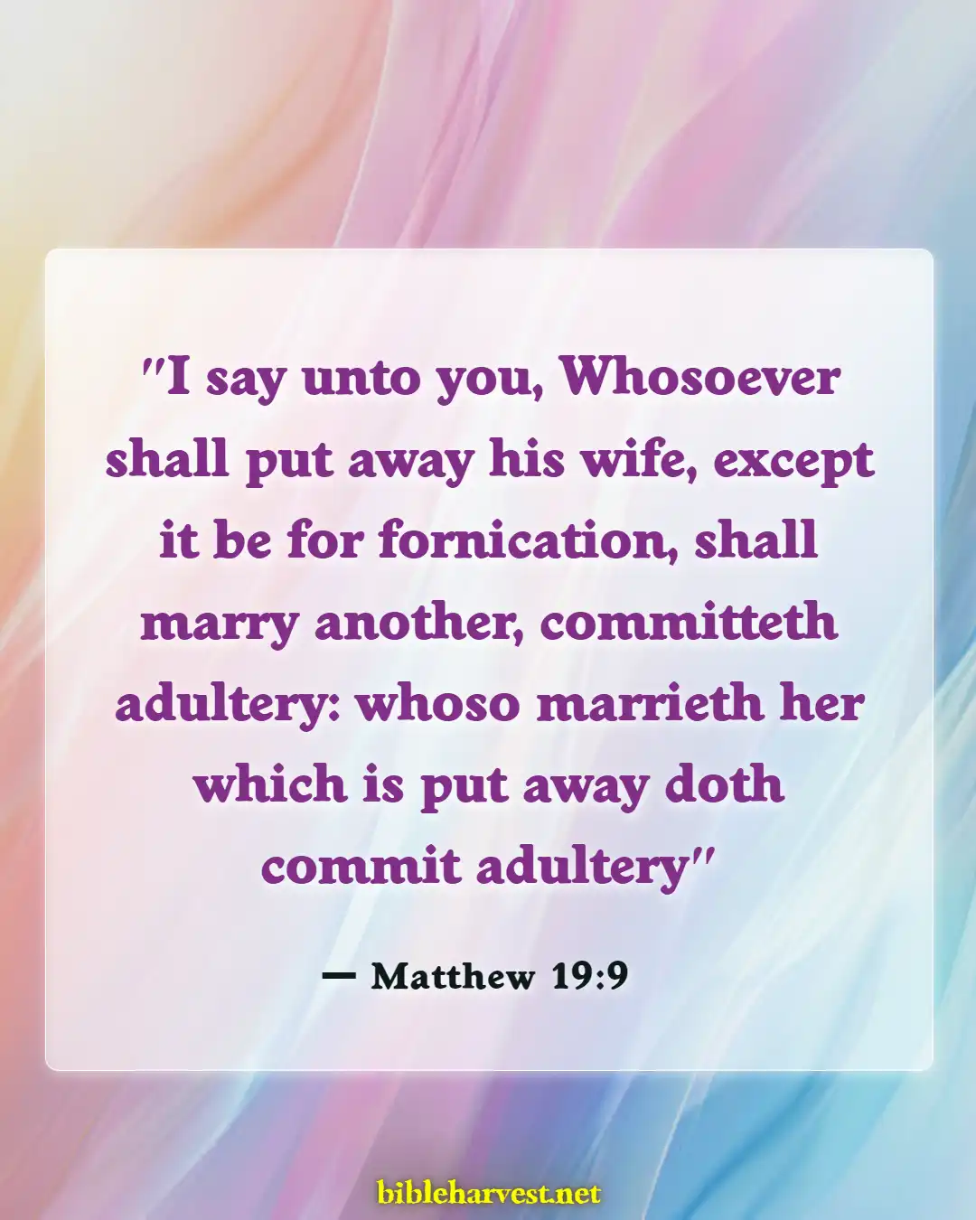 Bible Verses About Cheating Husband (Matthew 19:9)