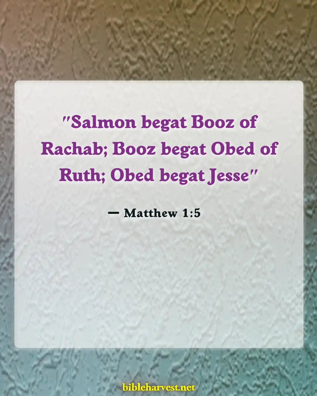 Bible Verses About Mixing Races (Matthew 1:5)