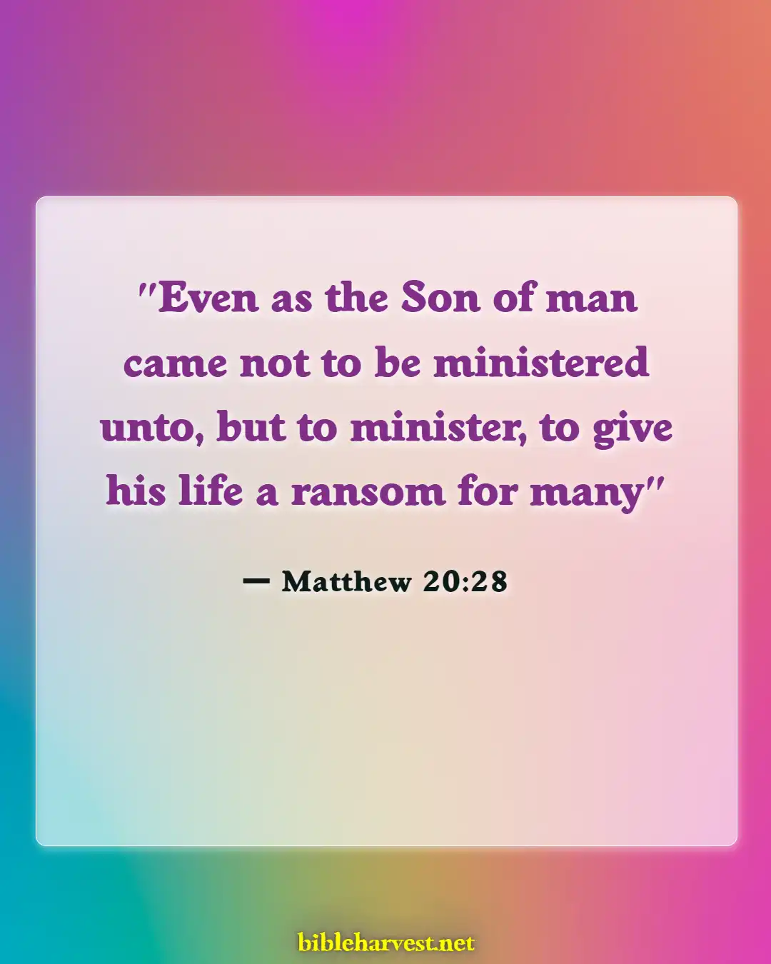 Bible Verses About Importantss (Matthew 20:28)