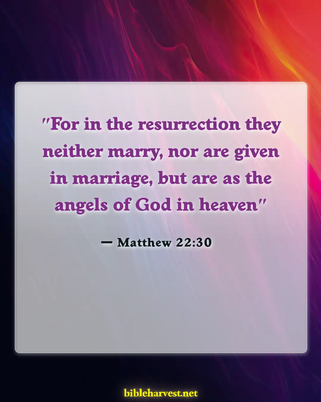 Bible Verses About Husband And Wife Reunited In Heaven (Matthew 22:30)
