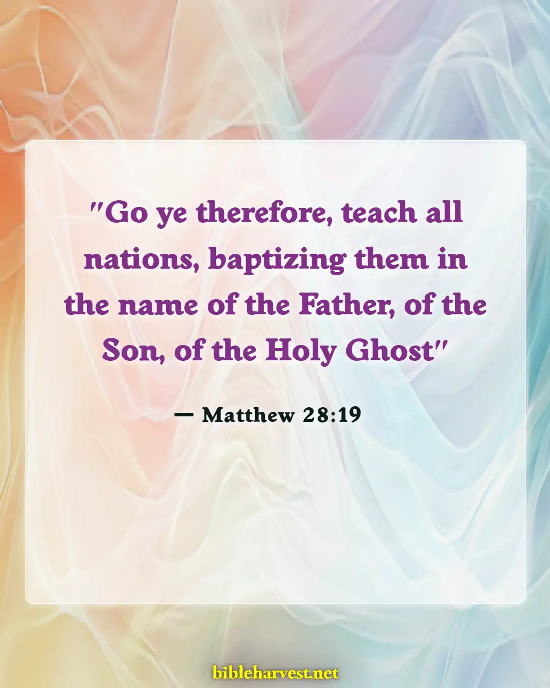 Bible Verses About Mission And Vision (Matthew 28:19)