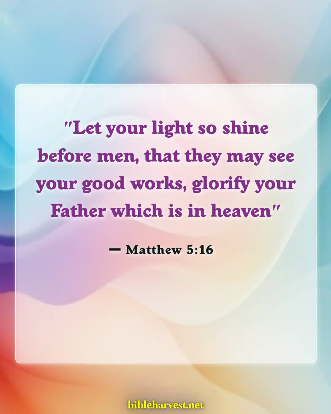 Bible Verses About Accomplishments (Matthew 5:16)