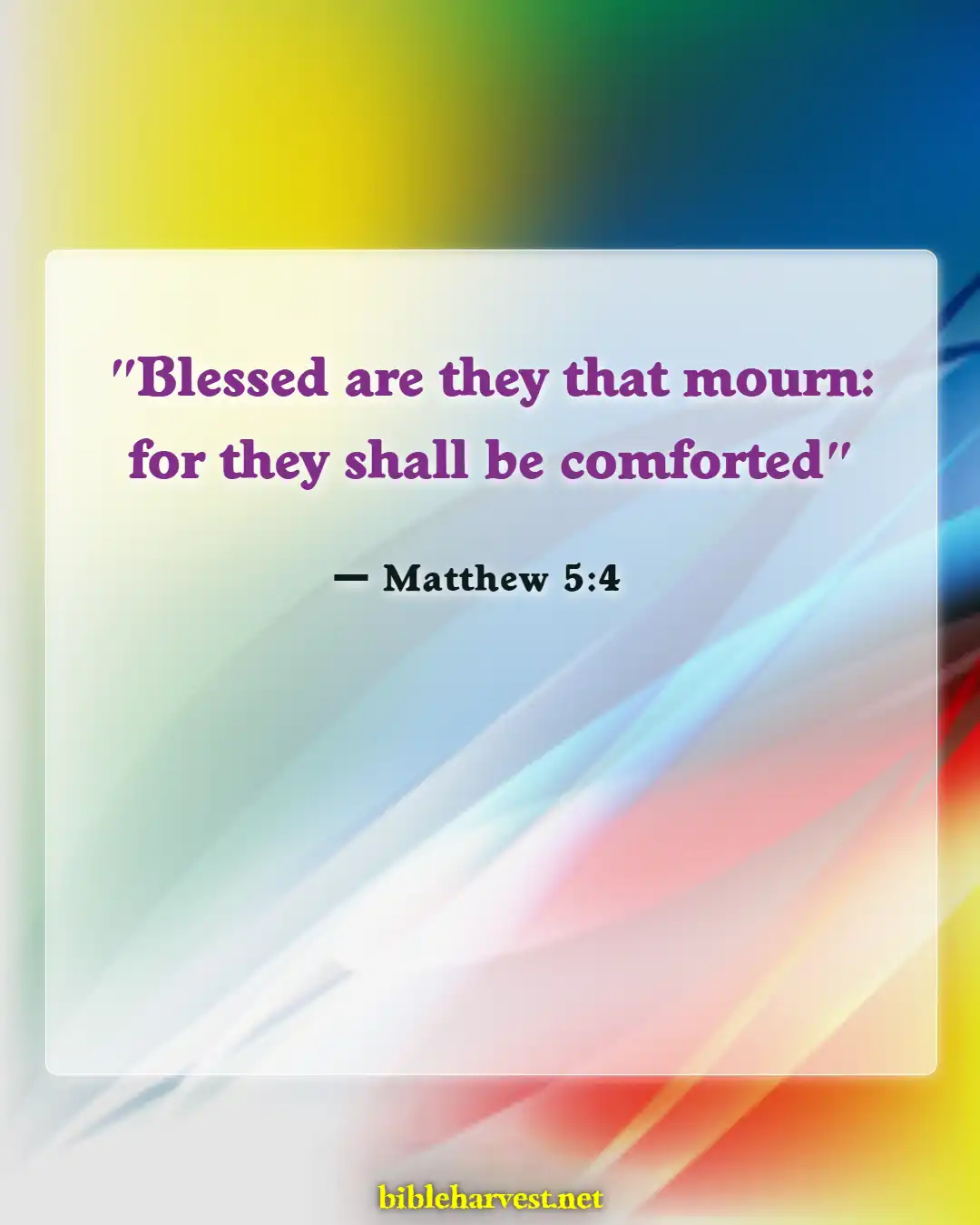 Bible Verses About Reunited With Loved Ones In Heaven (Matthew 5:4)