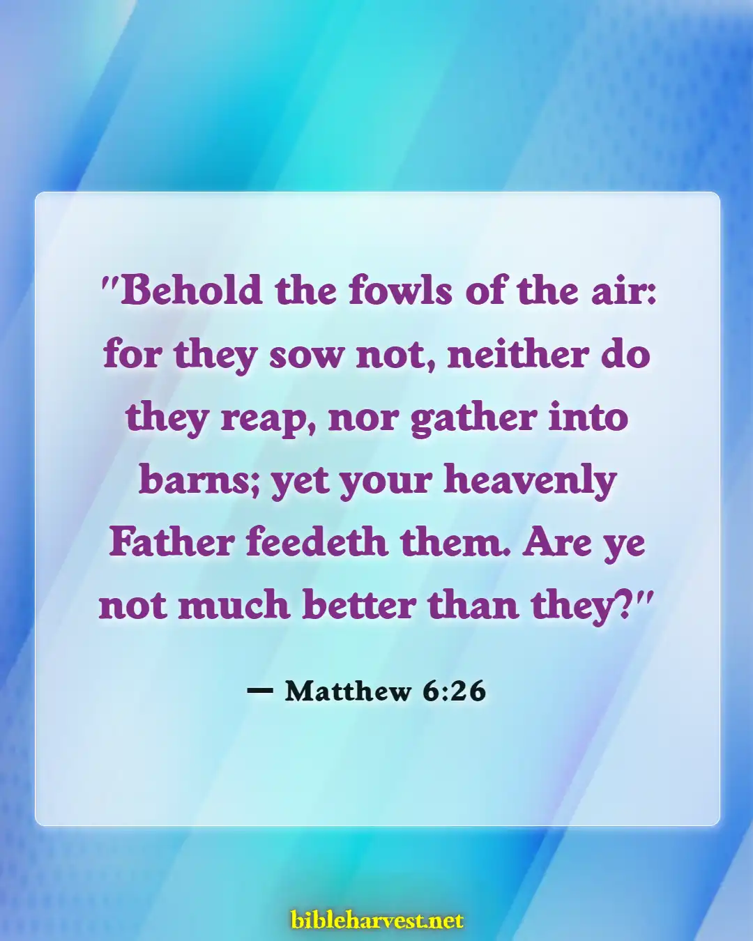 Bible Verses About Dependence On Gods (Matthew 6:26)