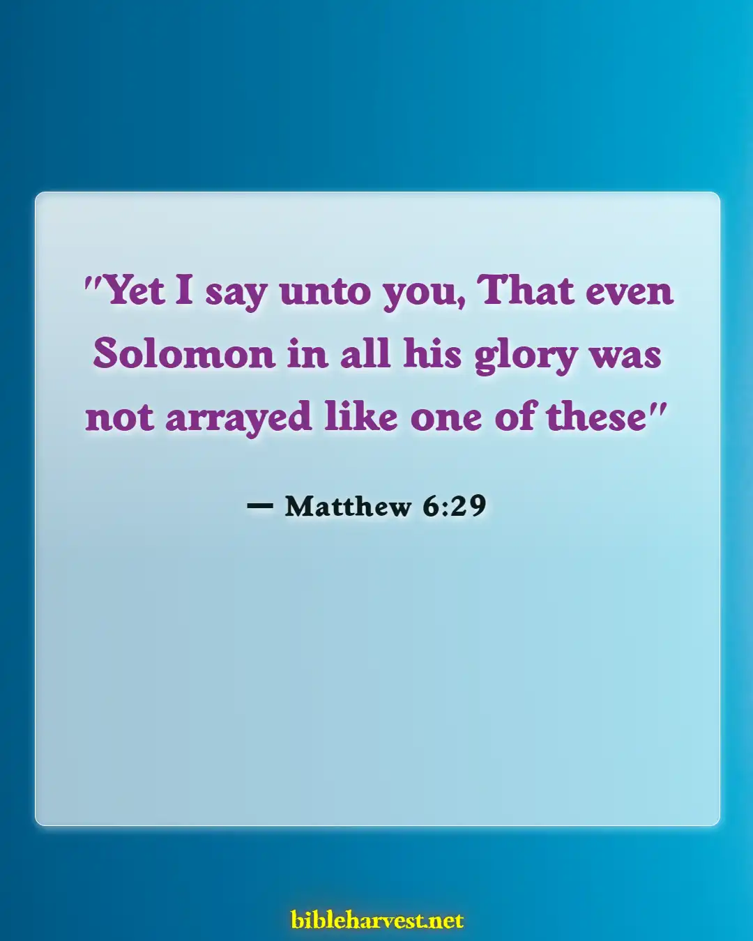 Bible Verses About Roses (Matthew 6:29)