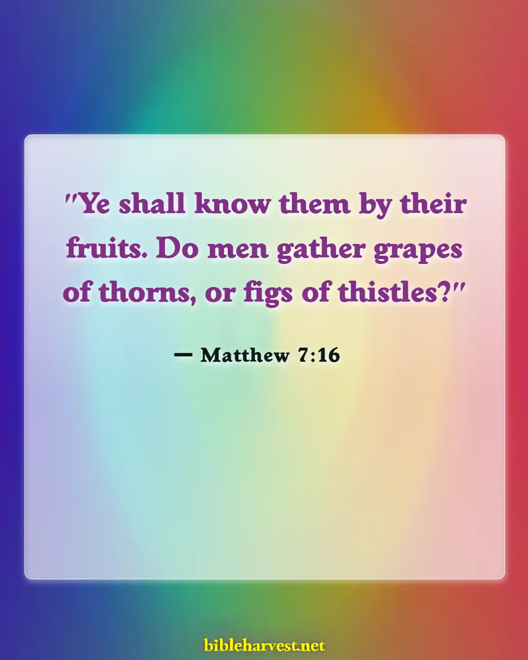 Bible Verses About Someone Taking Advantage Of You (Matthew 7:16)