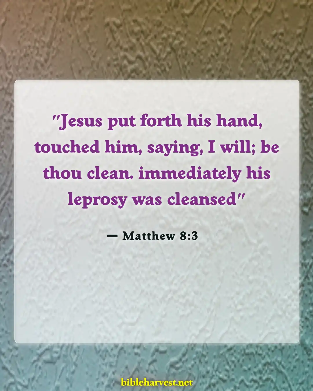 Bible Verses About Jesus (Matthew 8:3)