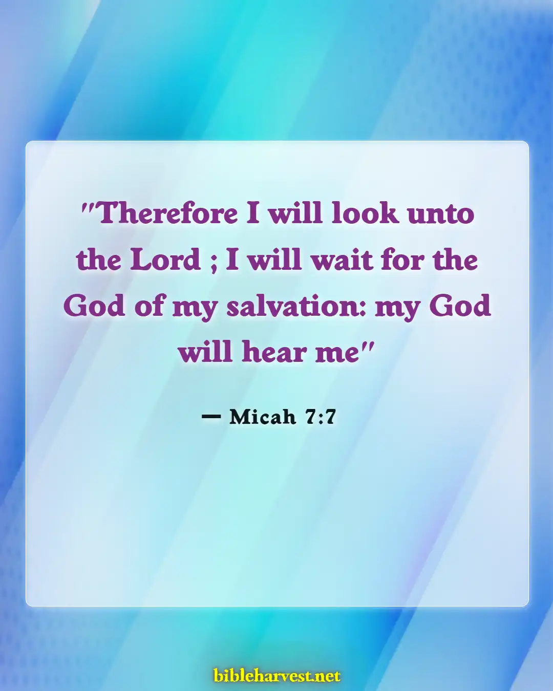 Bible Verses About God's Timing (Micah 7:7)