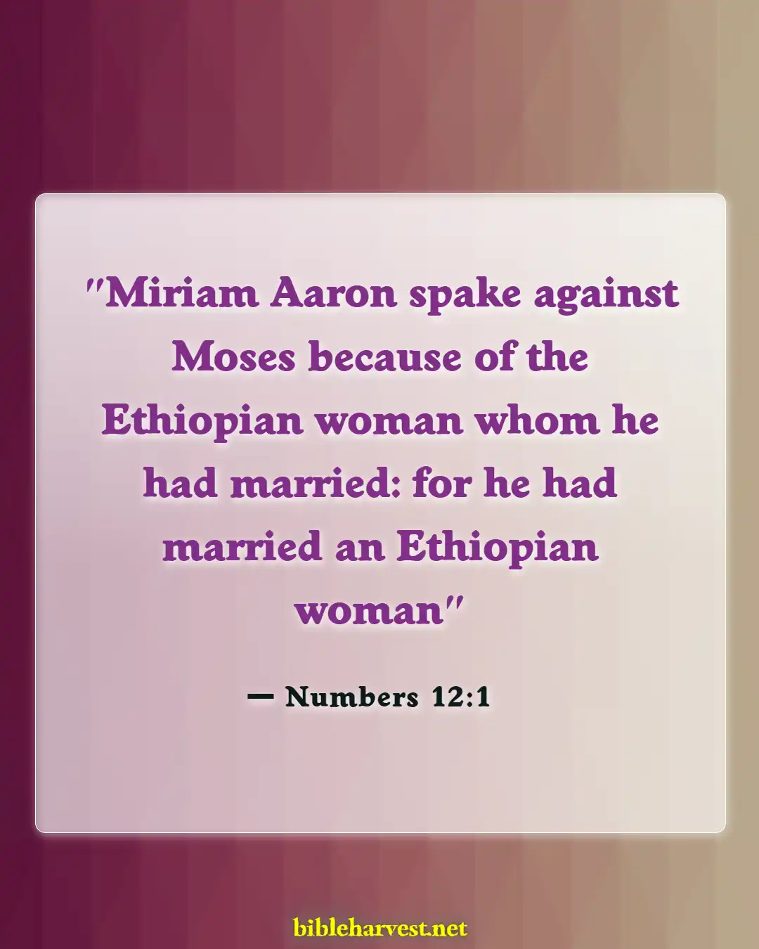 Bible Verses About Mixing Races (Numbers 12:1)