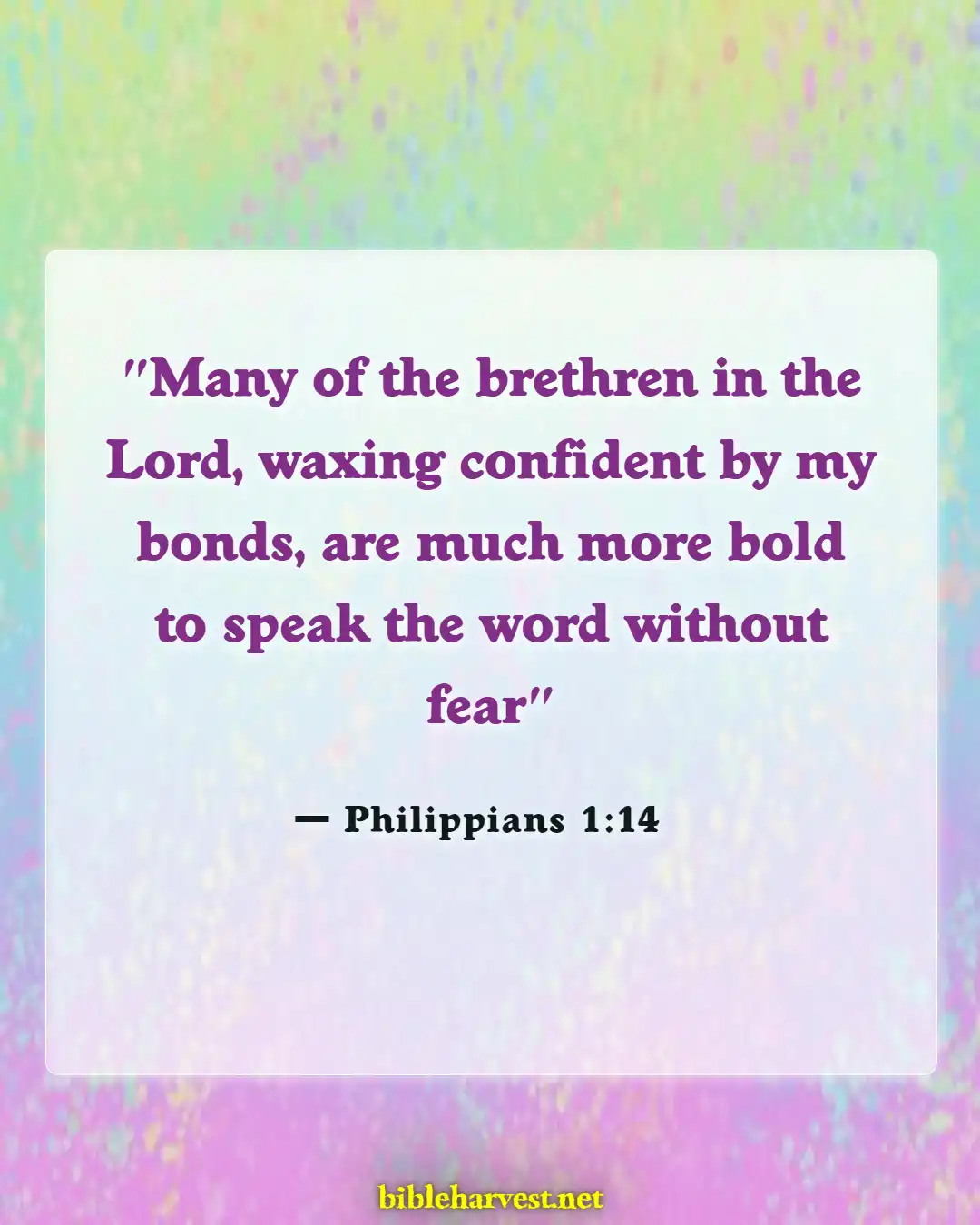 Bible Verses About Sharing Your Faith (Philippians 1:14)