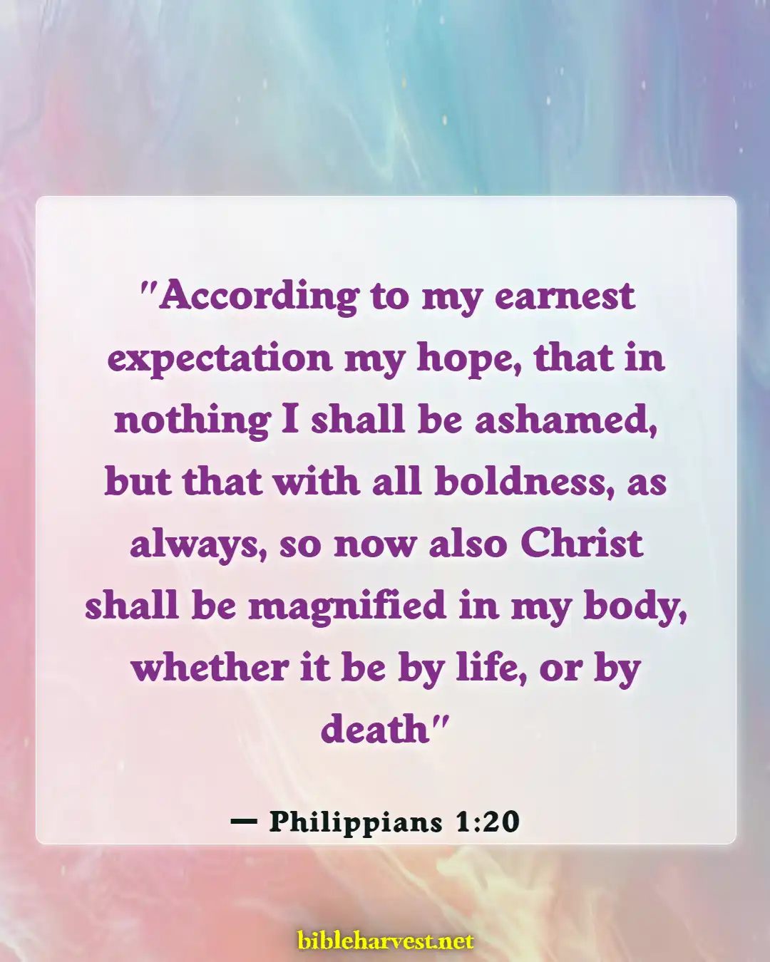 Bible Verses About Respecting Your Body (Philippians 1:20)