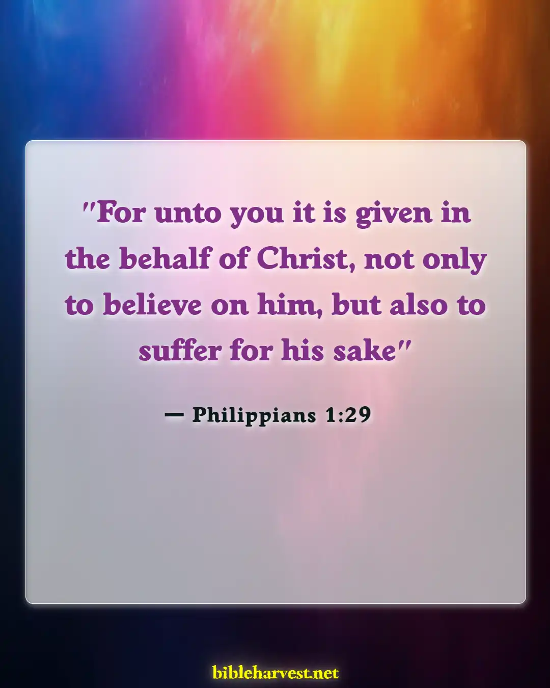 Bible Verses About Pain And Suffering (Philippians 1:29)