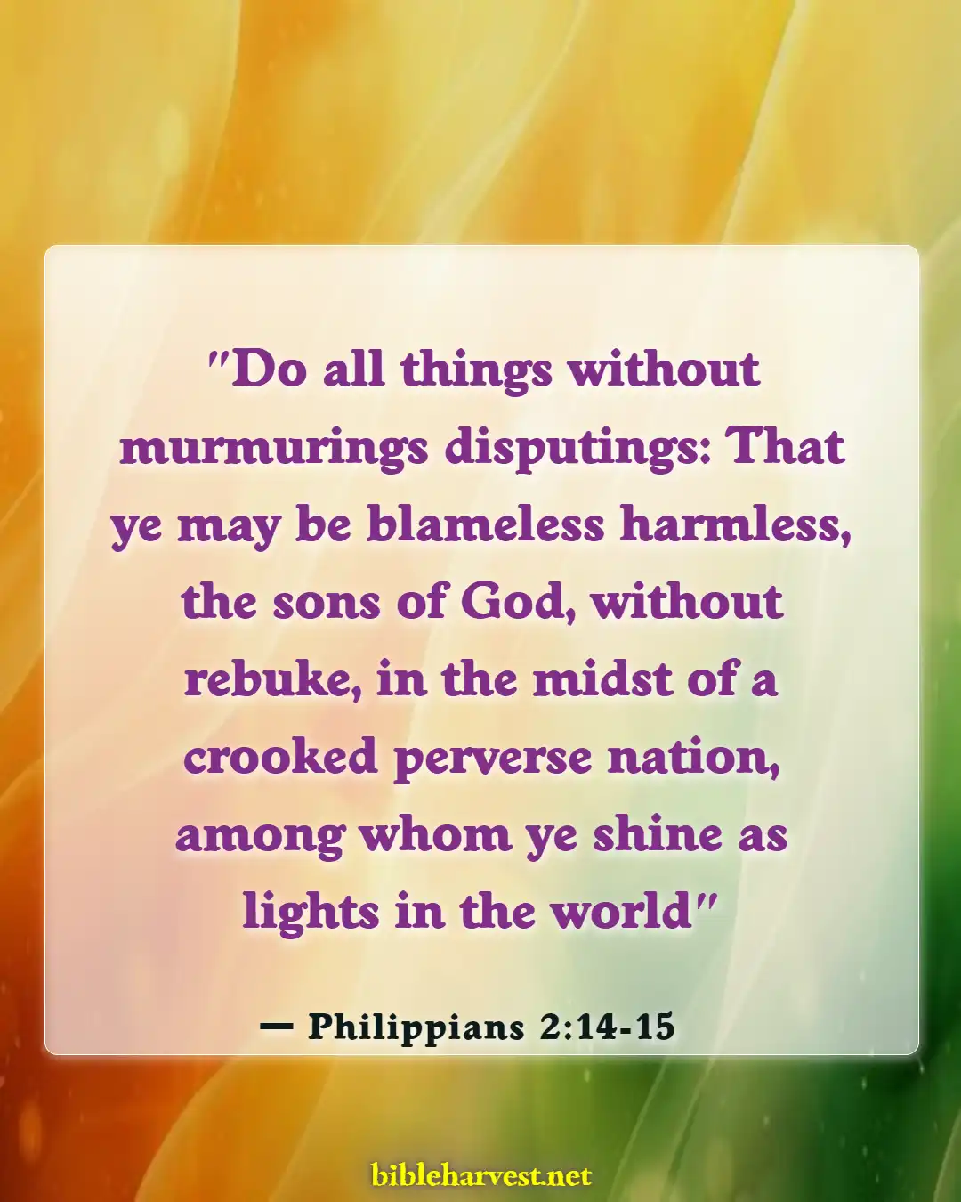 Bible Verses About Attitude Problems (Philippians 2:14-15)