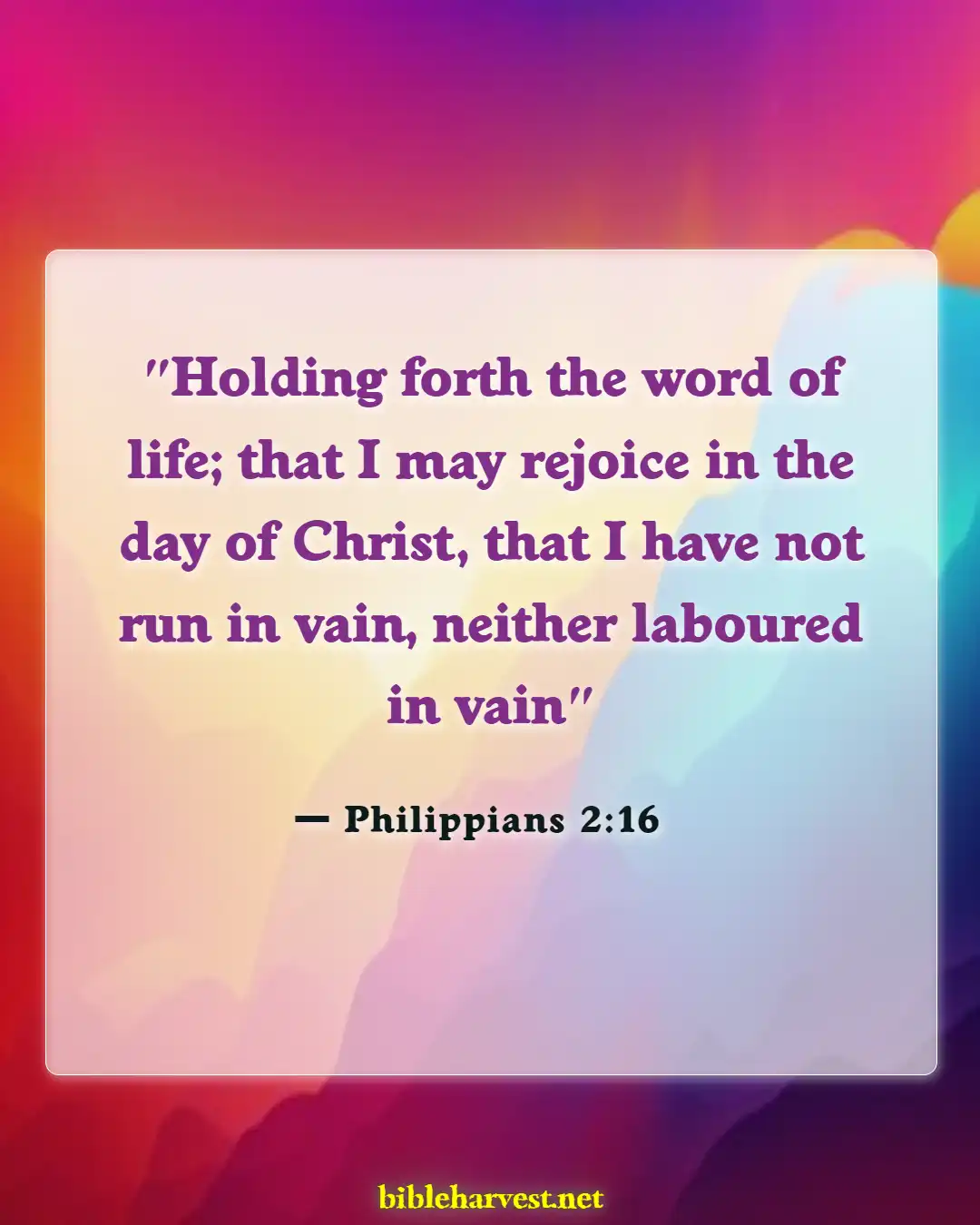 Bible Verses About Running The Race (Philippians 2:16)