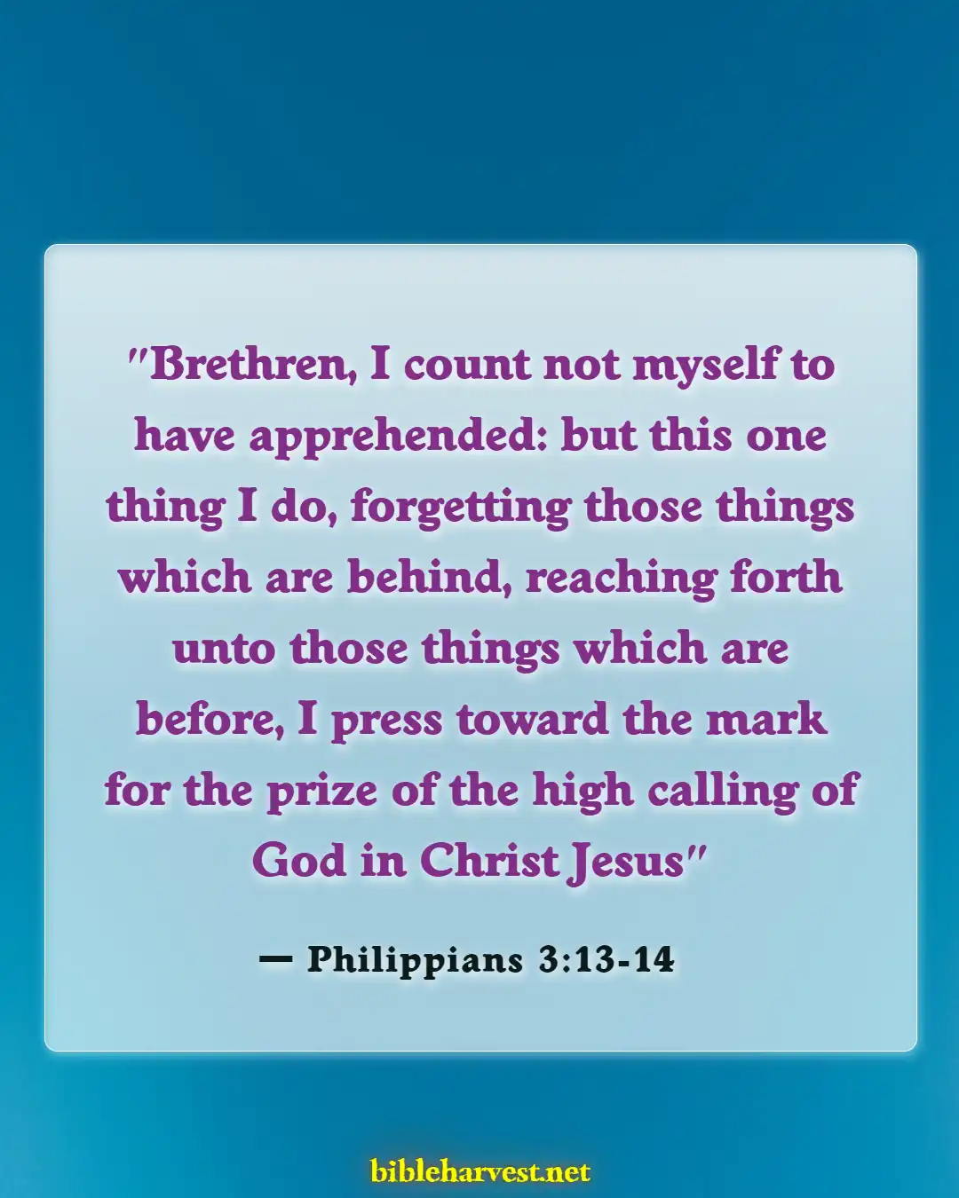 Bible Verses About Second Chances (Philippians 3:13-14)