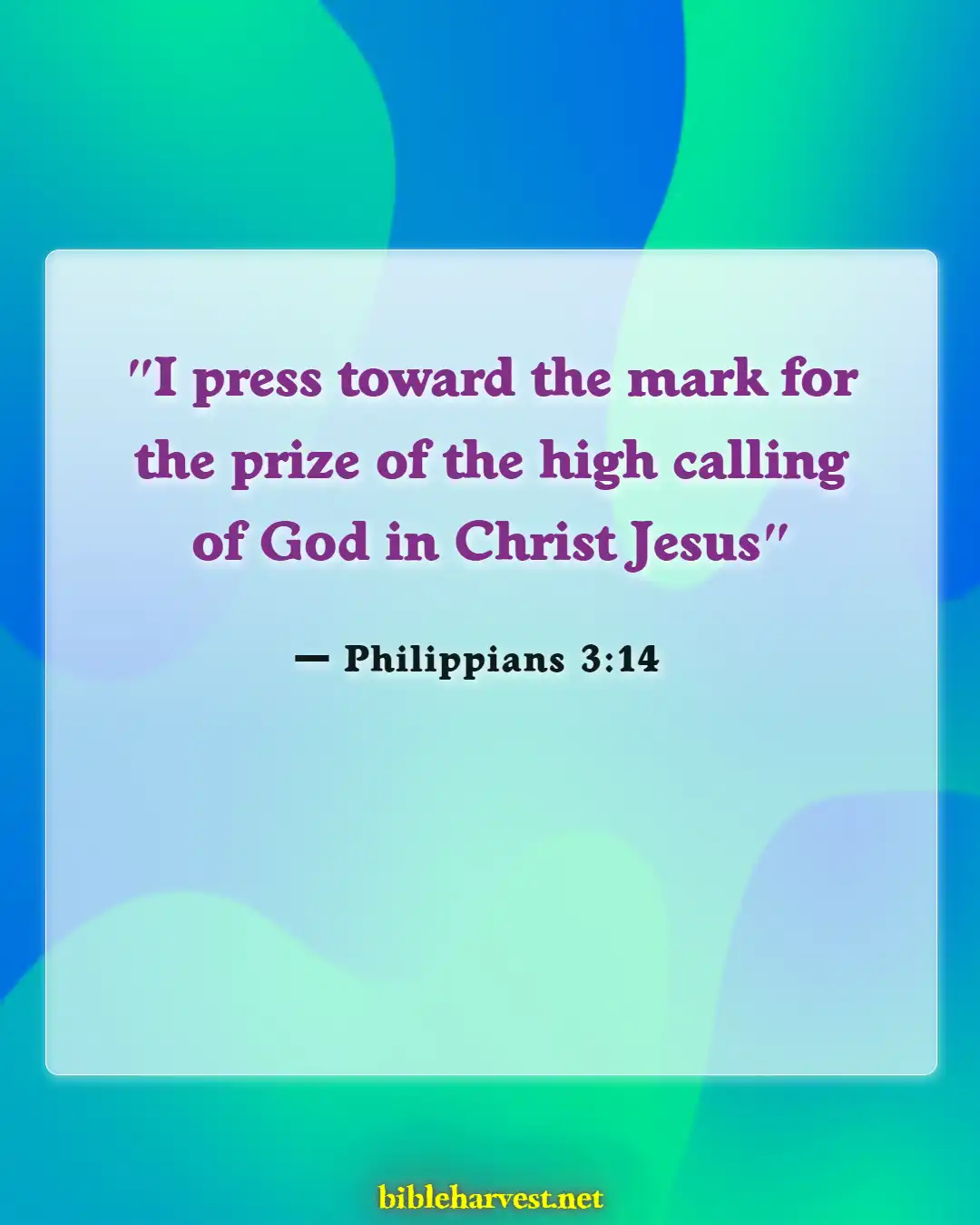 Bible Verses About Hope Patience For Good Blessed (Philippians 3:14)