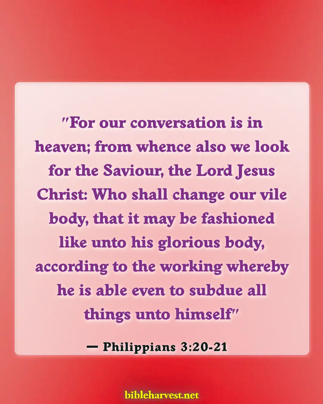 Bible Verses About For Eternal Life (Philippians 3:20-21)