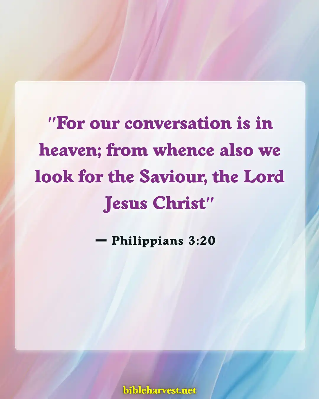 Bible Verses About Reunited With Loved Ones In Heaven (Philippians 3:20)