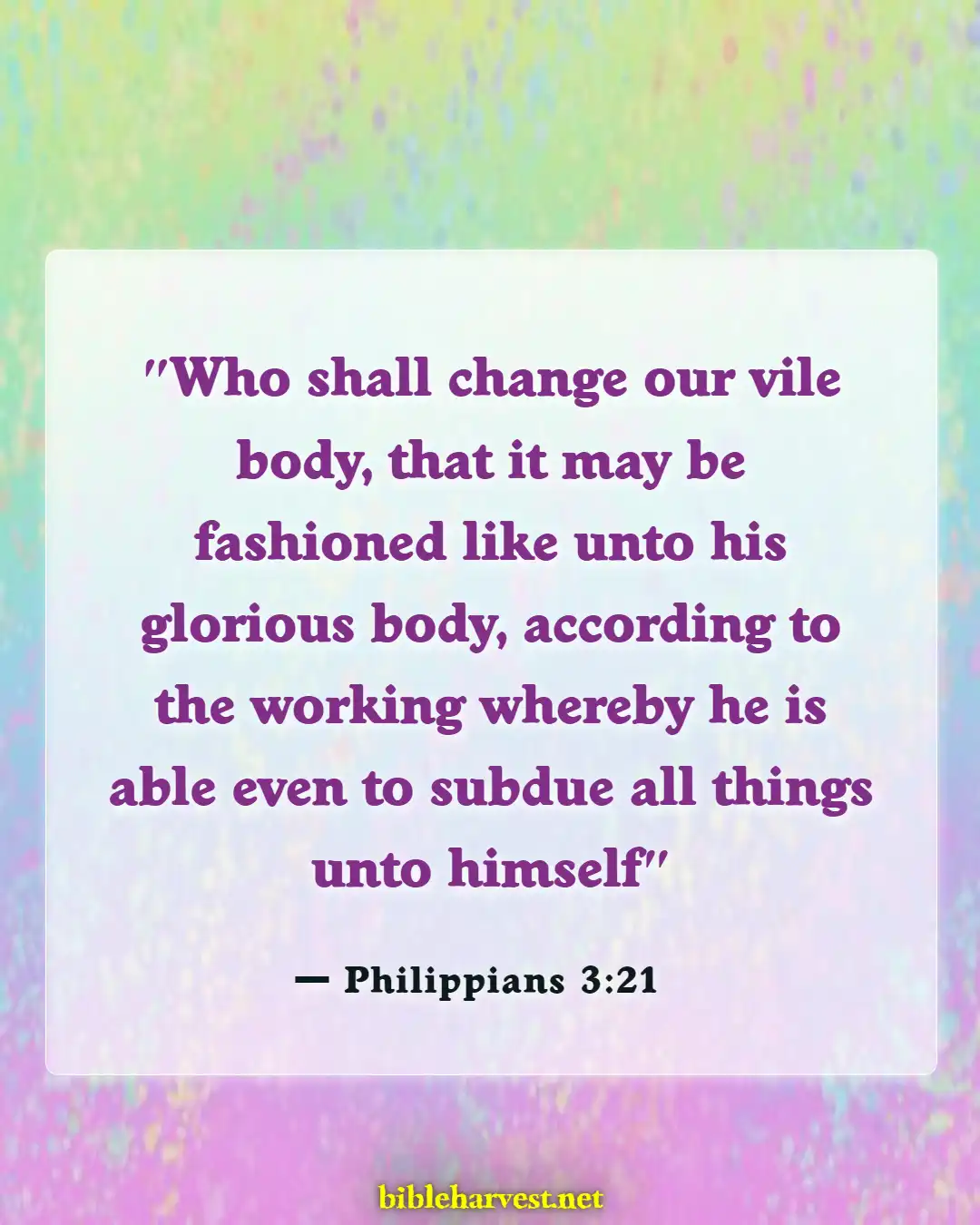 Bible Verses About Husband And Wife Reunited In Heaven (Philippians 3:21)