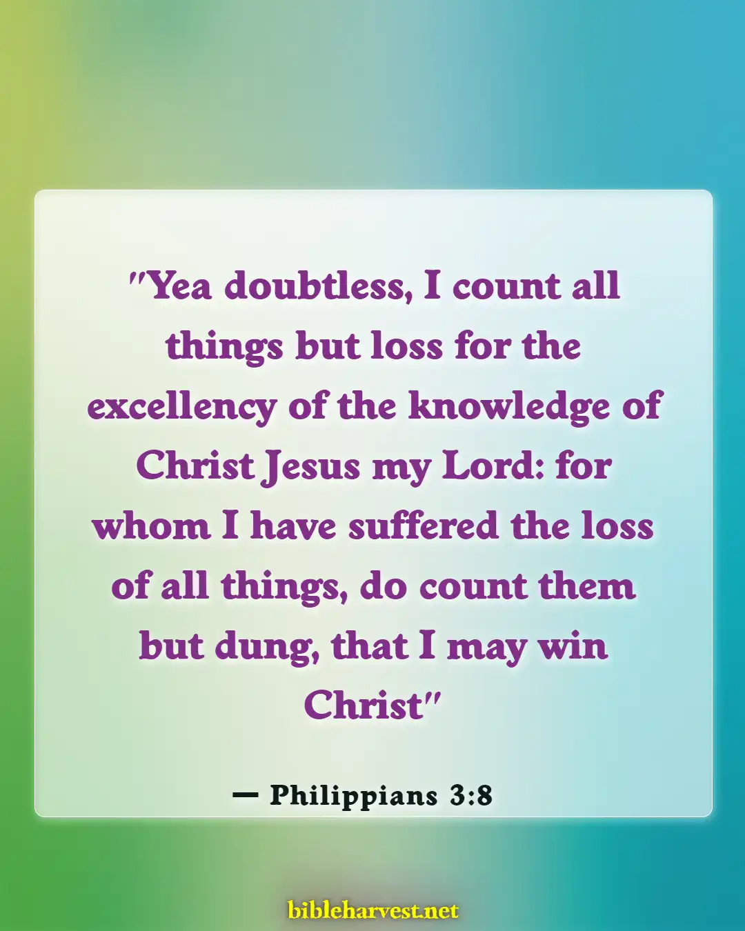 Bible Verses About Knowing God (Philippians 3:8)