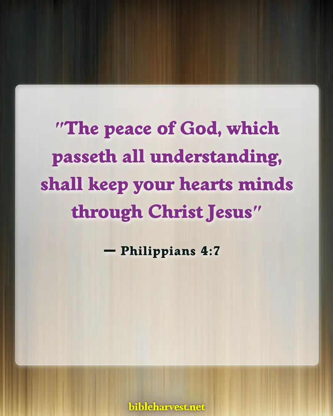 Bible Verses About Hope For The Future (Philippians 4:7)