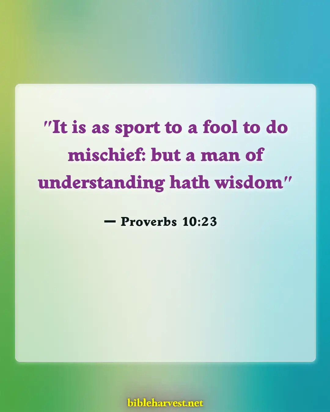 Bible Verses About Do Not Argue With A Fool (Proverbs 10:23)