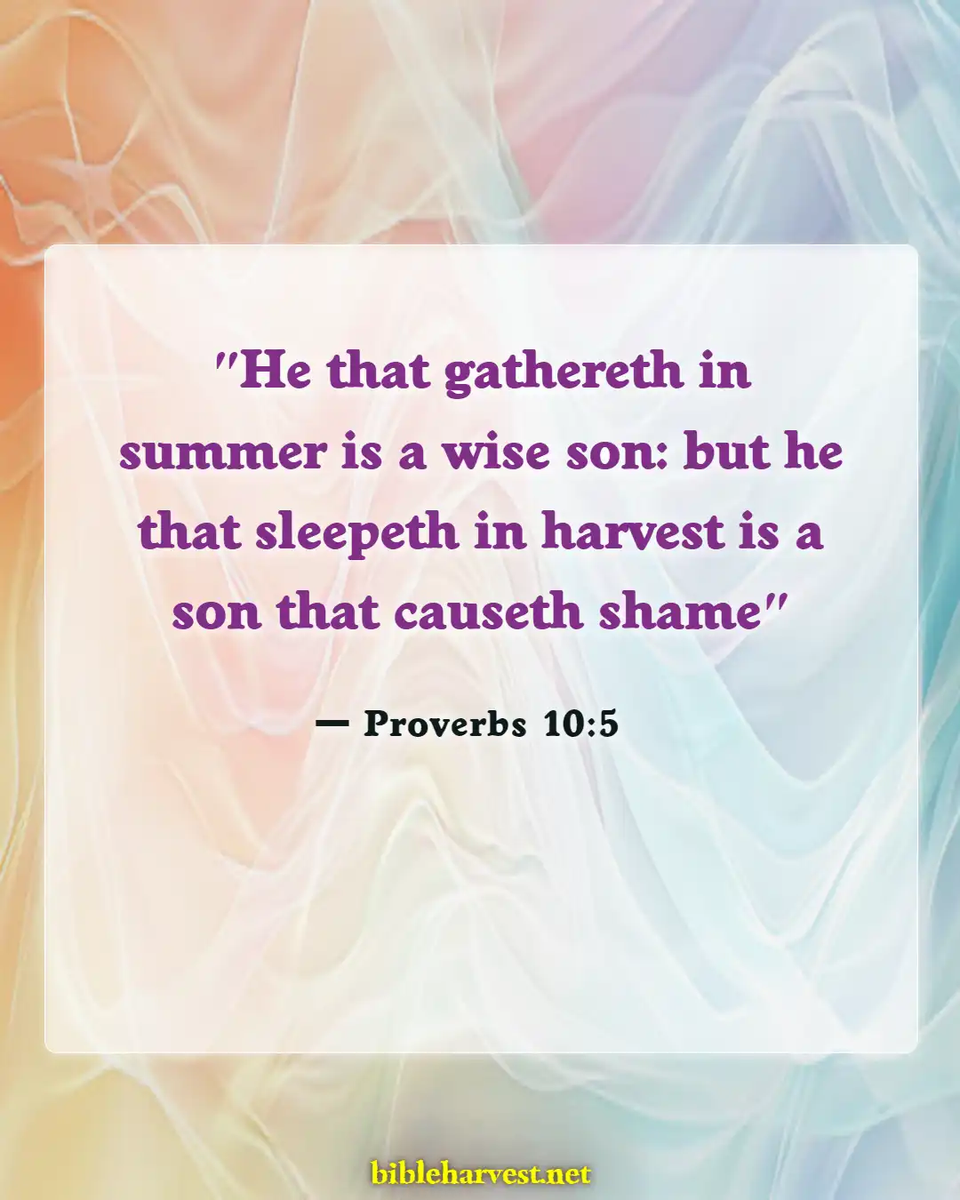 Bible Verses About Opportunity (Proverbs 10:5)