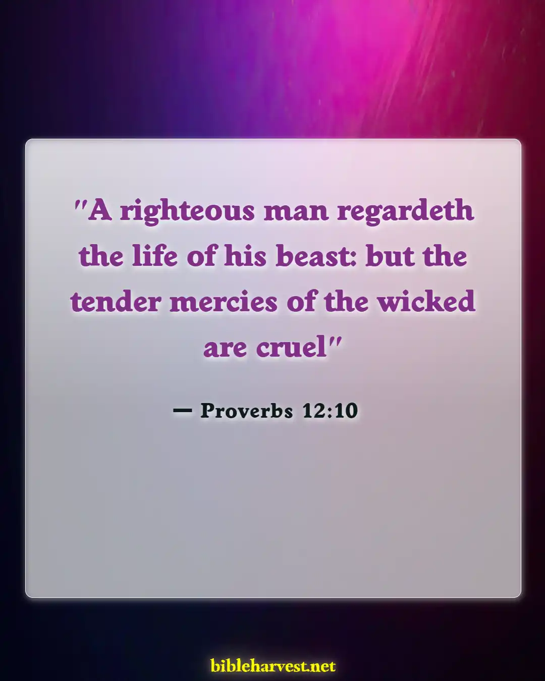 Bible Verses About God's Beautiful Creation (Proverbs 12:10)