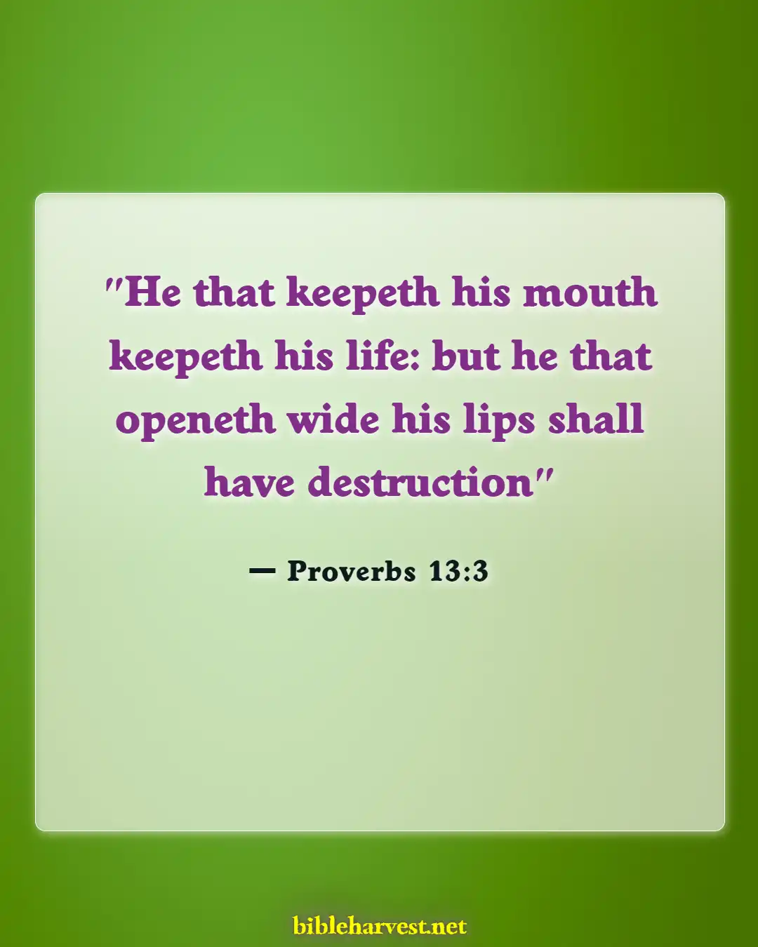Bible Verses About Careful What You Say (Proverbs 13:3)