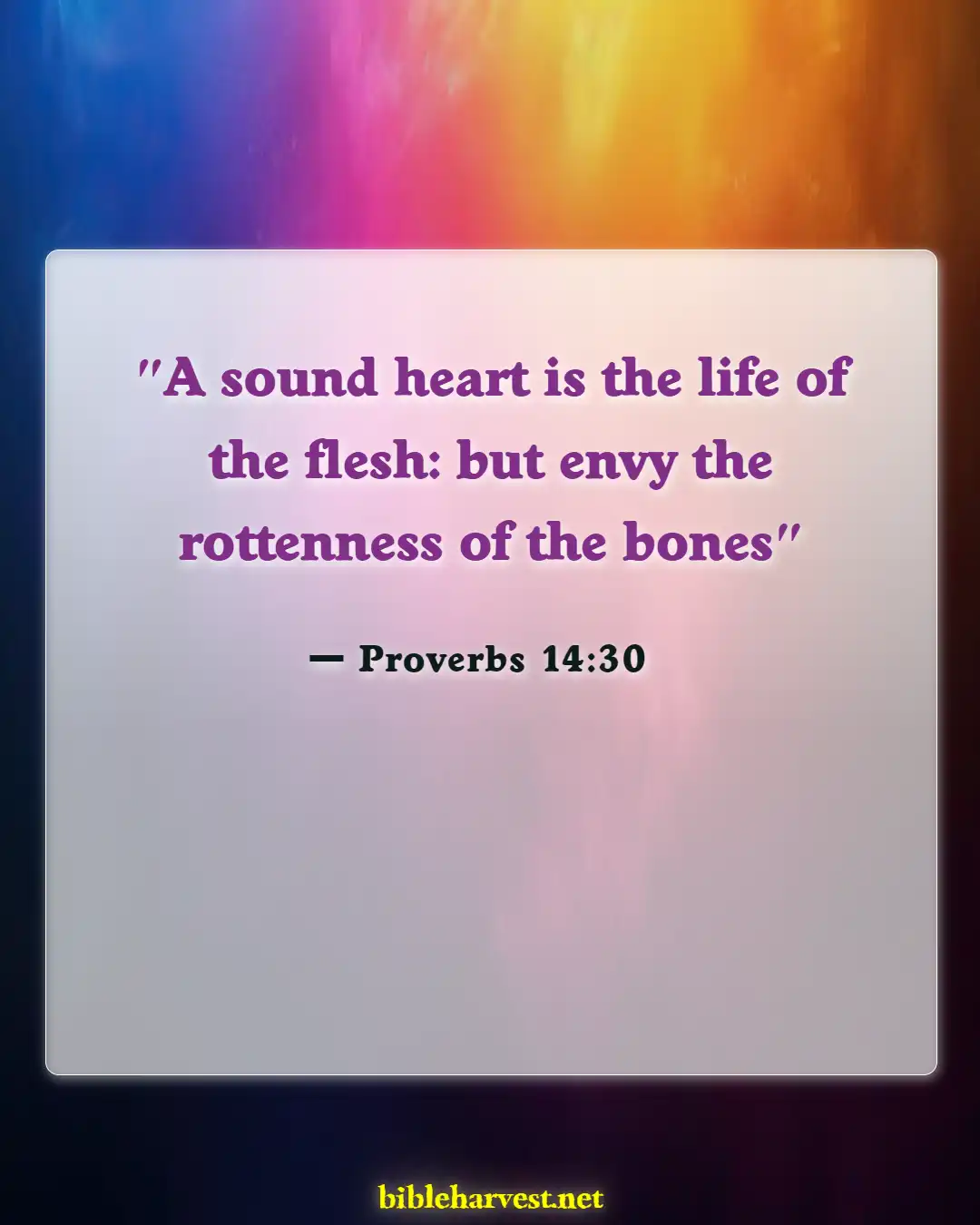 Bible Verses About Peace (Proverbs 14:30)