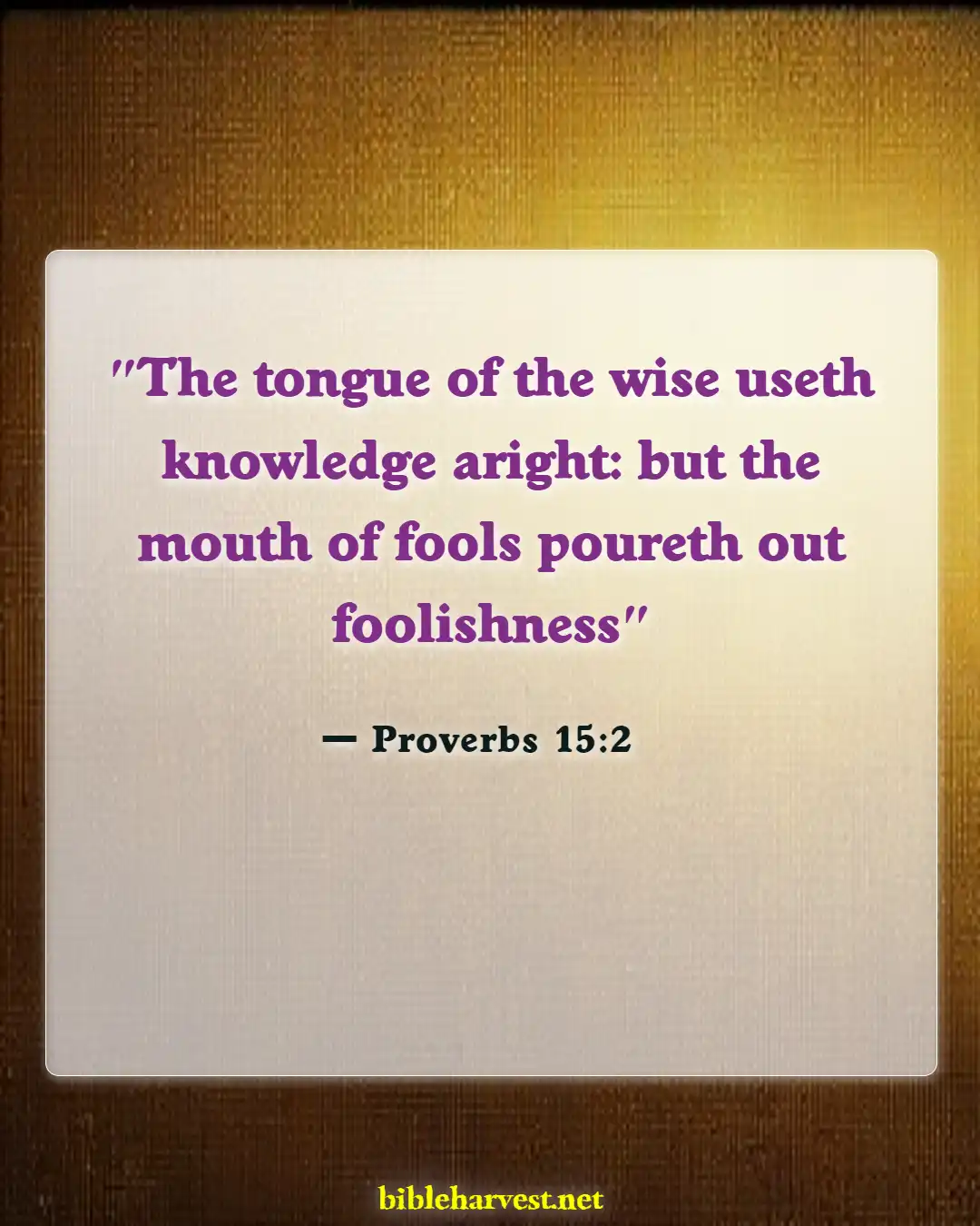 Bible Verses About Do Not Argue With A Fool (Proverbs 15:2)