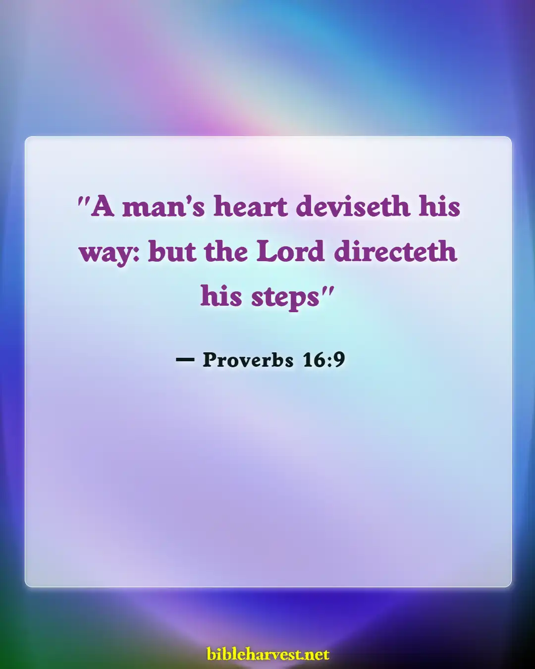 Bible Verses About Hope For The Future (Proverbs 16:9)