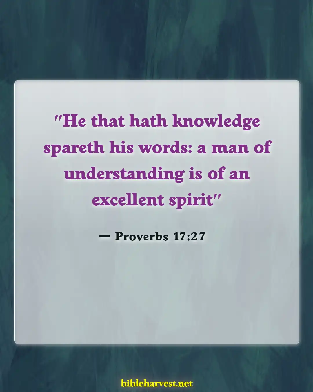 Bible Verses About Careful What You Say (Proverbs 17:27)