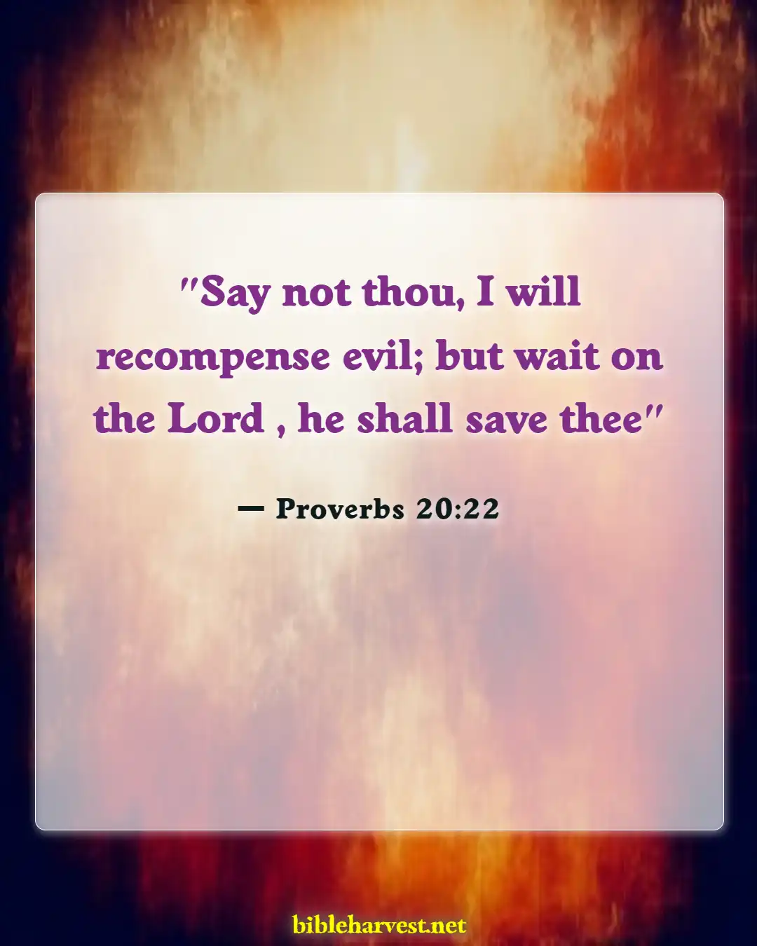 Bible Verses About Revenge (Proverbs 20:22)