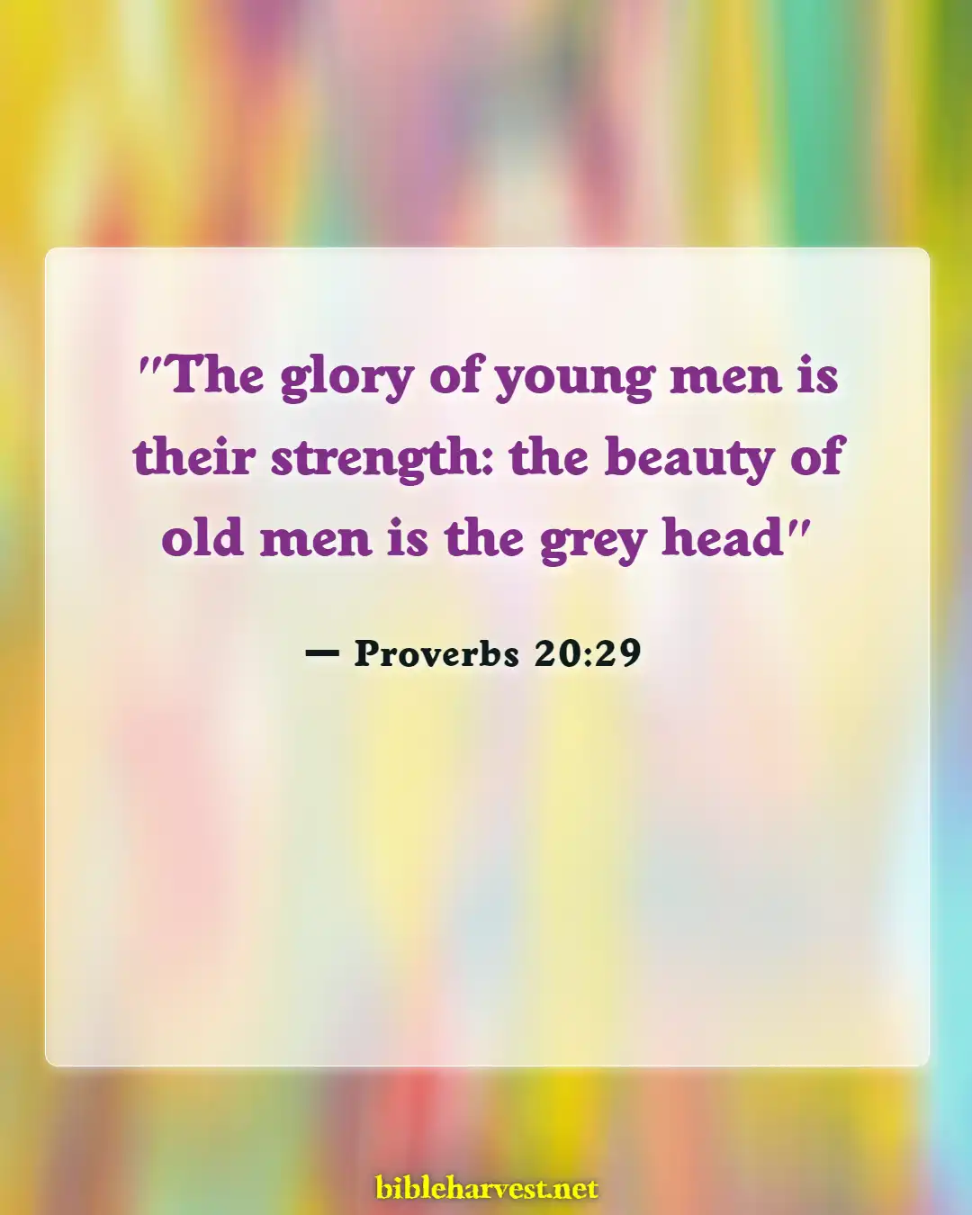 Bible Verses About Retirement (Proverbs 20:29)