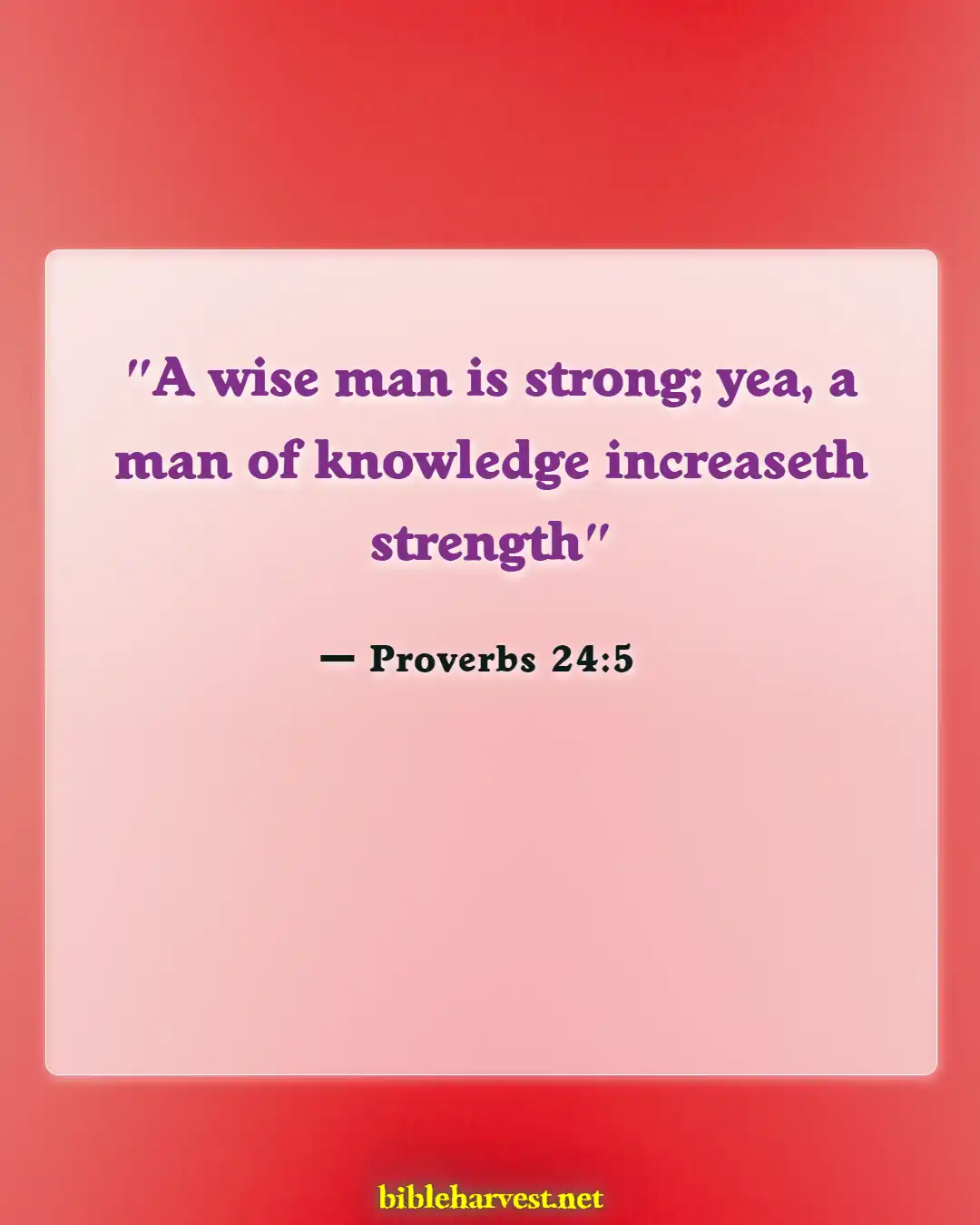 Bible Verses About Woman Warrior Of God (Proverbs 24:5)