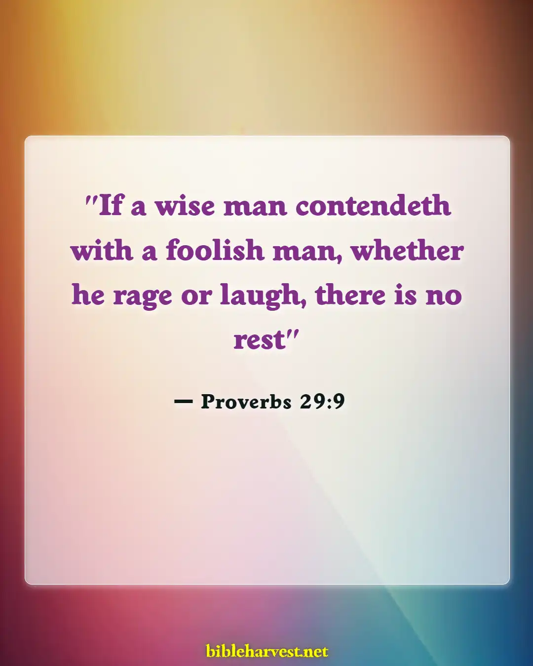 Bible Verses About Do Not Argue With A Fool (Proverbs 29:9)