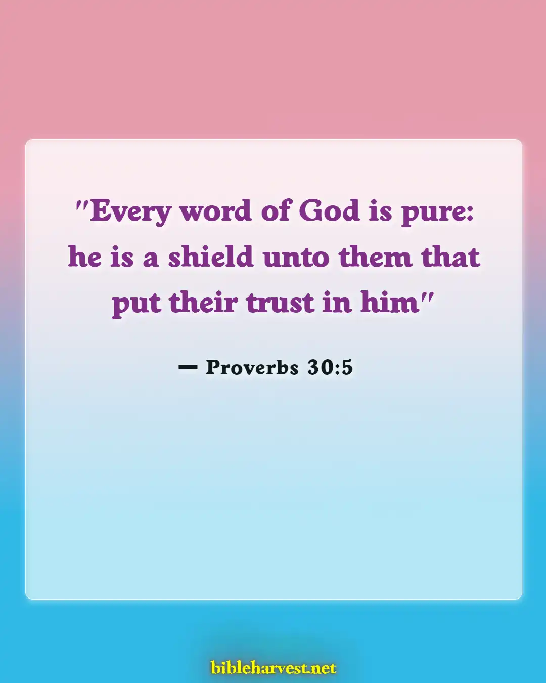 Bible Verses About Importantss (Proverbs 30:5)