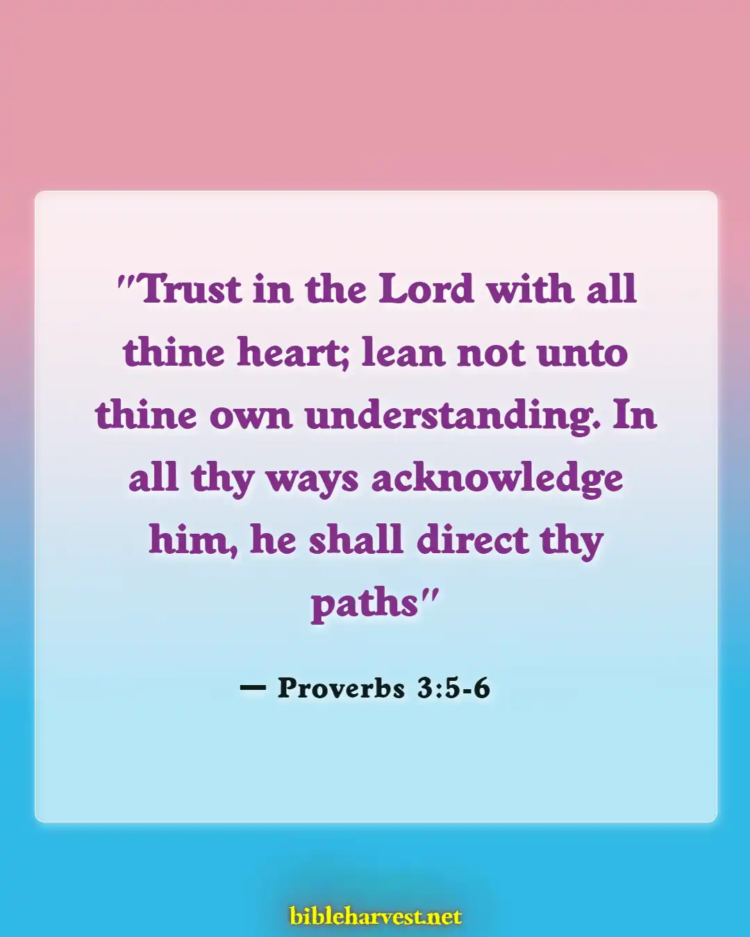 Bible Verses About Adoption (Proverbs 3:5-6)