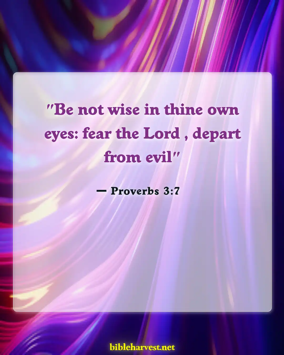 Bible Verses About Dealing With Problems (Proverbs 3:7)