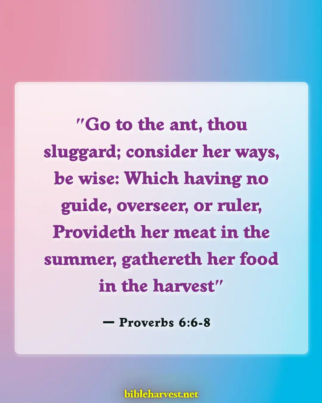 Bible Verses About Procrastination (Proverbs 6:6-8)