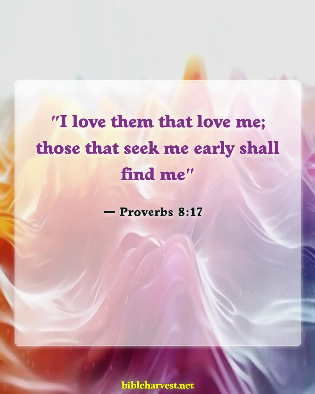 Bible Verses About Seeking God (Proverbs 8:17)