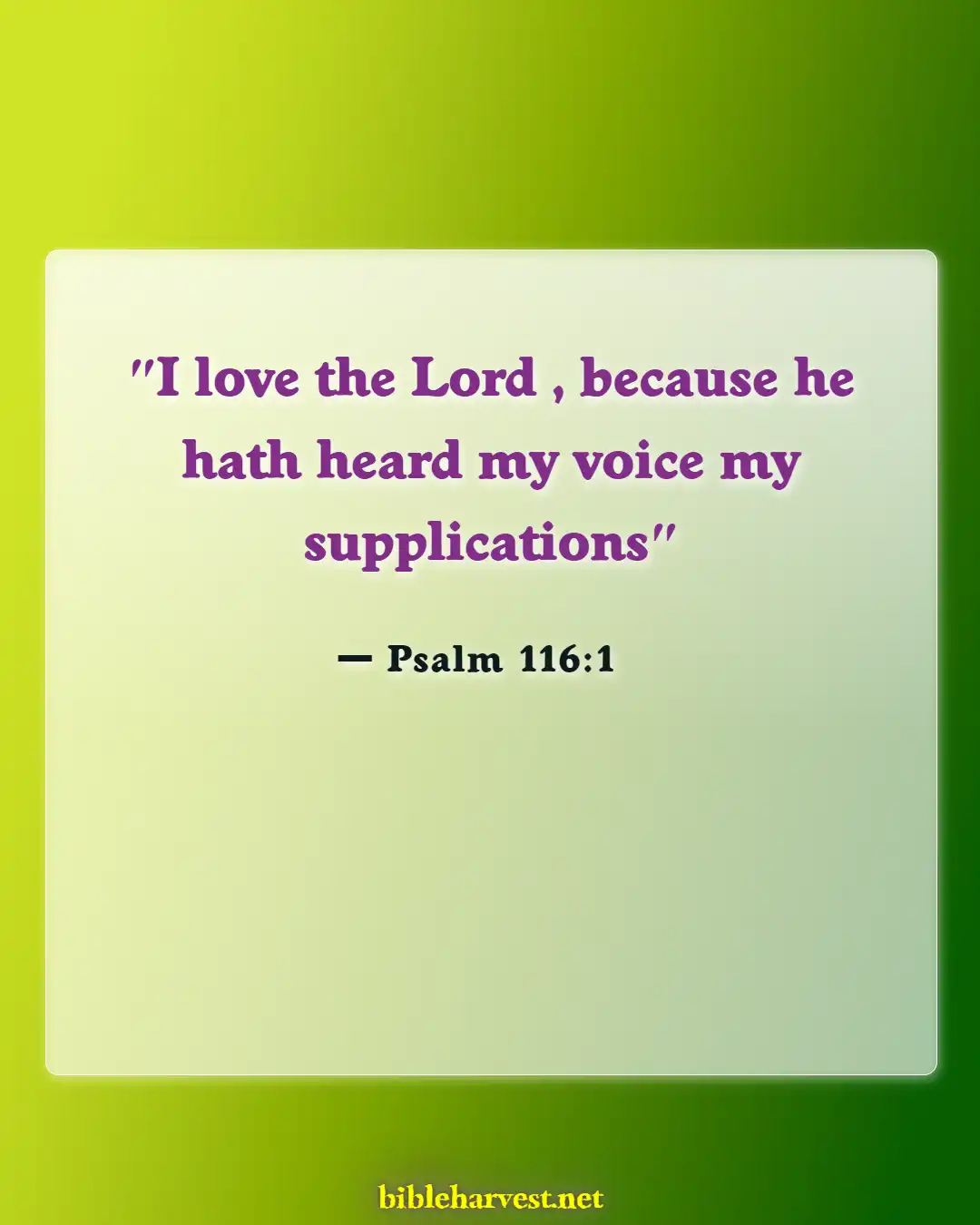 Bible Verses About God Hears Our Prayers (Psalm 116:1)