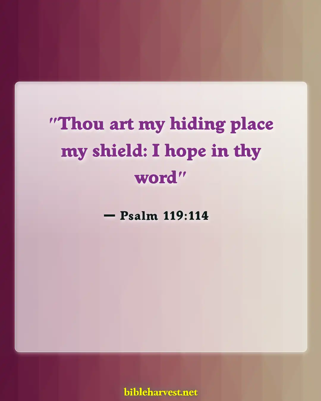 Bible Verses About Dealing With Problems (Psalm 119:114)