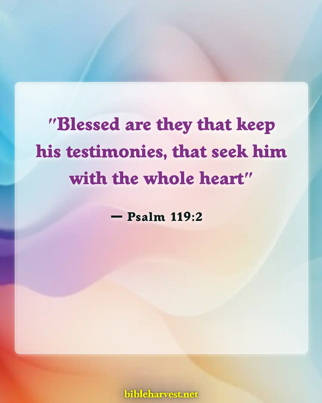 Bible Verses About Seeking God (Psalm 119:2)